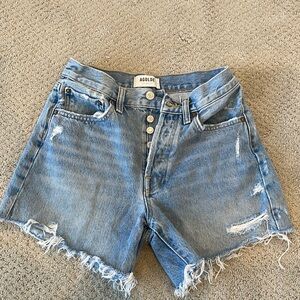 Agolde Parker Long short